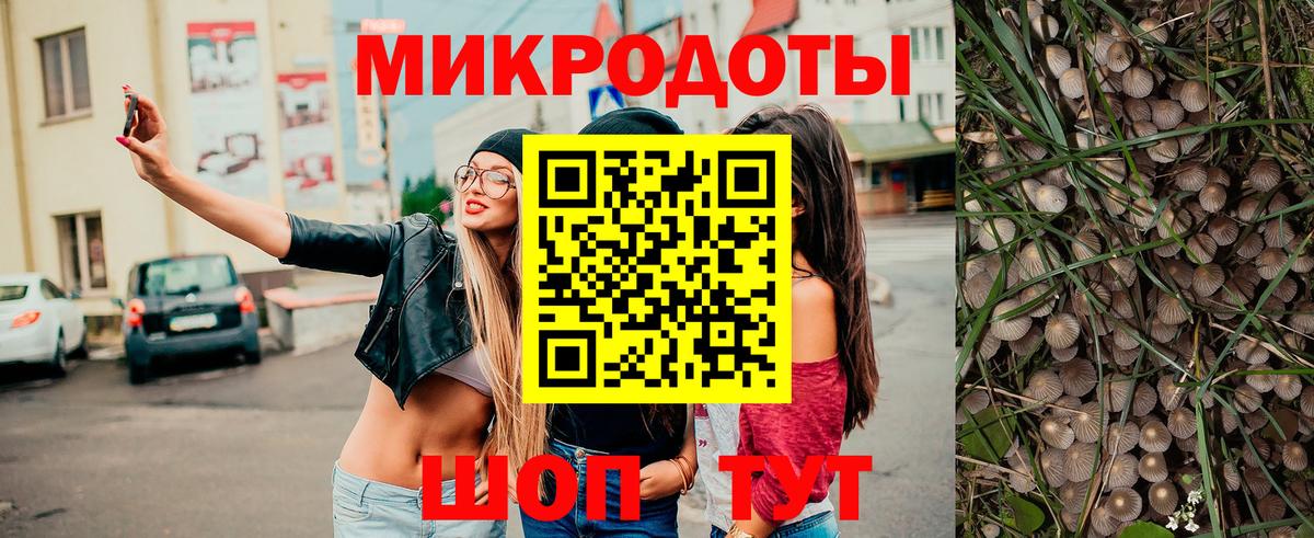 Псилоцибиновые грибы Psilocybe  Вход с VPN  Туапсе  Псилоцибиновые грибы ЛСД 